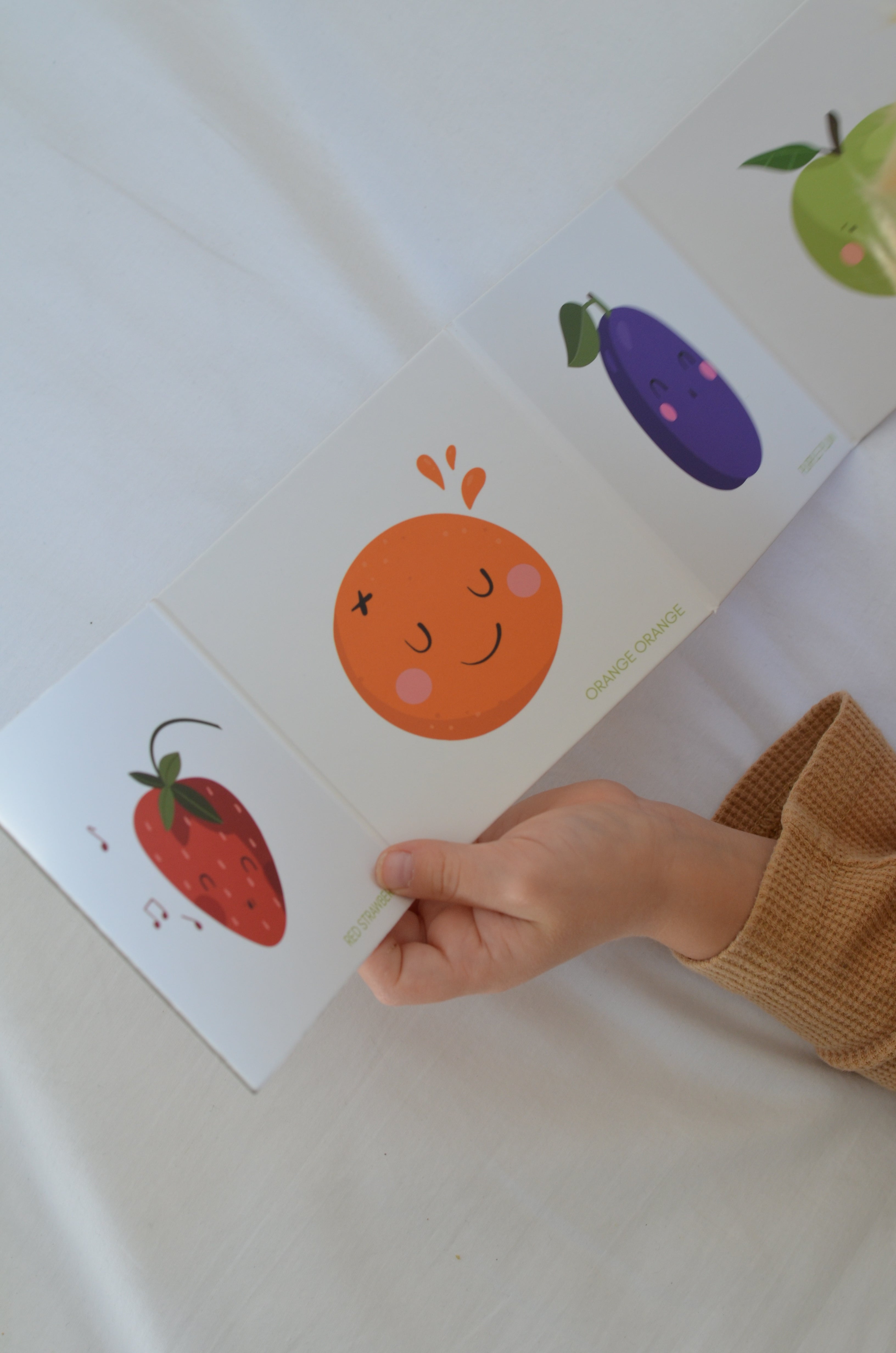 Leporelo Ovoce a Barvy