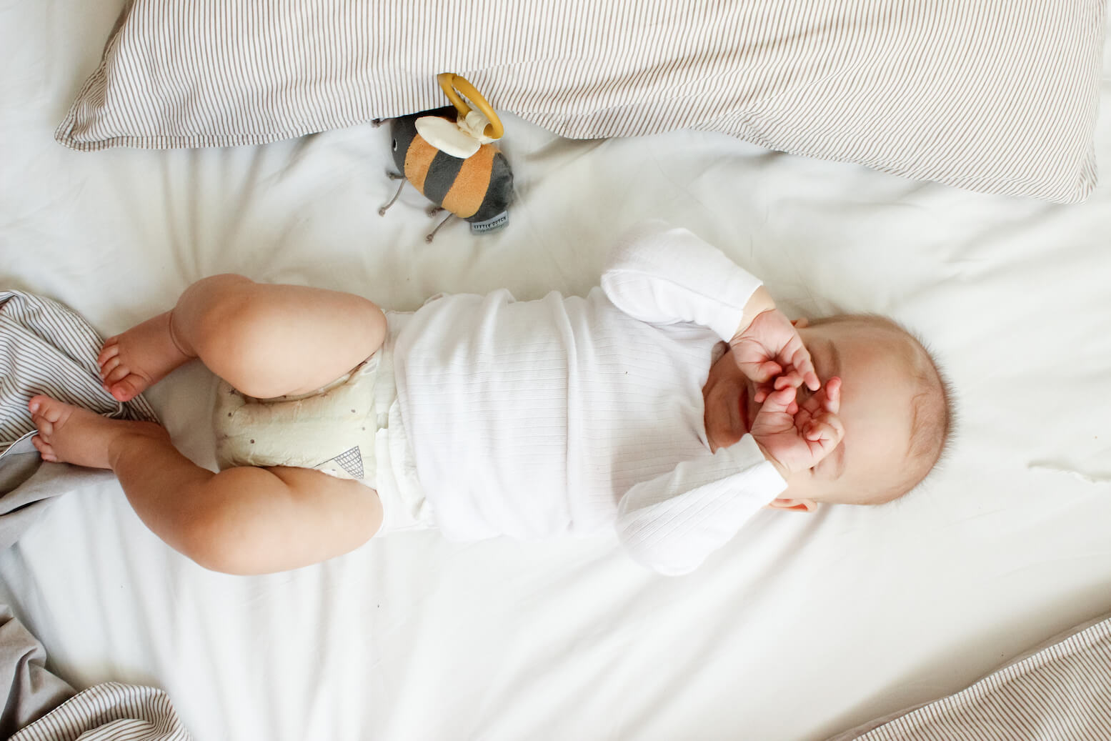 NIGHT MOMENTS Universe